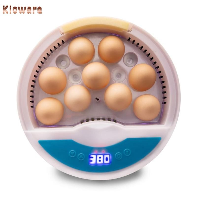 [Kloware] นกไก่อัตโนมัติ 9Eggs Hatching Incubator 50HZ สําหรับนกนกกระทาไก่