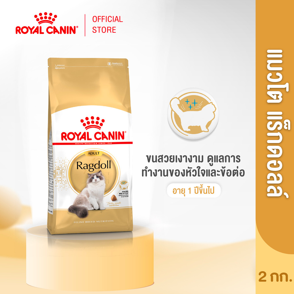 Royal Canin Ragdoll Adult 2kg อาหารเม็ดแมวโต พันธุ์แร็กดอลล์ อายุ 1 ปีขึ้นไป (Dry Cat Food, โรยัล คานิน)