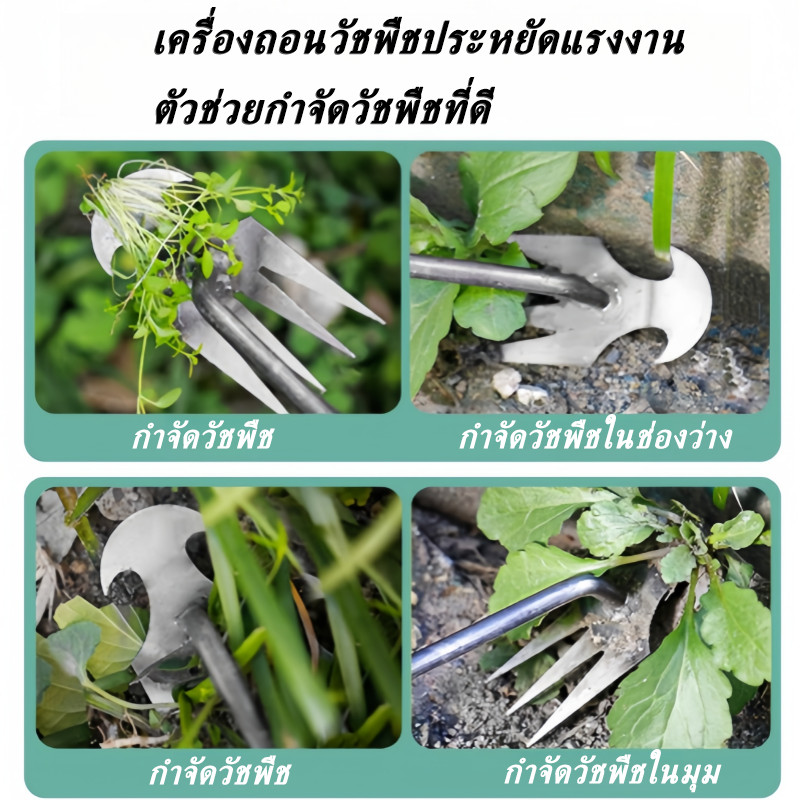 COD คราดหญ้า คราดเหล็ก คราดเก็บหญ้า เครื่องมือกำจัดวัชพืช เครื่องมือทำสวน Uprooting Weeding ราคา ถูกที่สุด ดีลบีเคเค แกลเลอรีภาพที่ 2