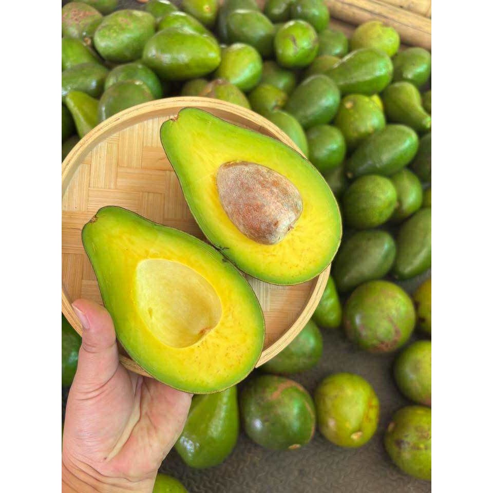 อาโวคาโดสดใหม่ 1 กิโลกรัม พันธุ์บัคคาเนีย บูส 7 A034 พื้นเมือง