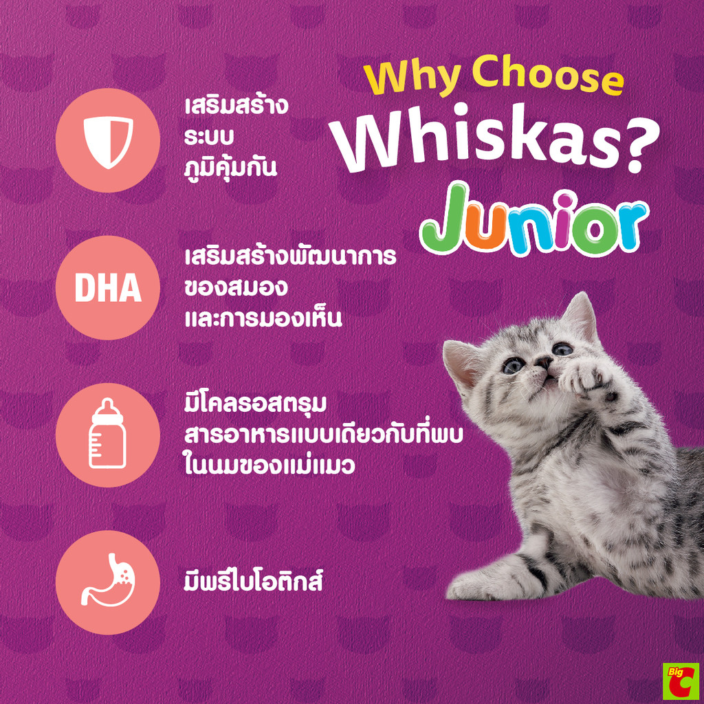 วิสกัส จูเนียร์ อาหารแมวชนิดเม็ด รูปที่ 5