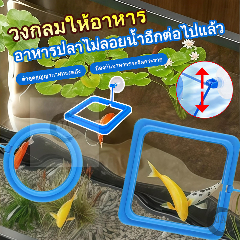 (พร้อมส่ง)ห่วงให้อาหารปลา FEEDING RING ที่กั้นอาหารปลา วงกลมให้อาหารปลา ปรับระดับได้ ด้วยดูดสุญญากาศแน่น