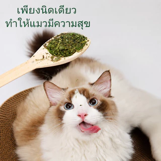 FOR_PET กัญชาแมว ผงแคทนิป 100ml แถมช้อนตัก หญ้าแมวกินได้ ช่วยขับก้อนขน ลดกลิ่นปาก ผ่อนคลาย สำหรับลูกแมว Catnip Powder