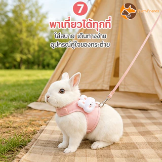 สายจูงกระต่าย ของใช้กระต่าย เชือกลากกระต่าย สะดวกสบาย ระบายอากาศ มีฤดูกาลทั้งสี่