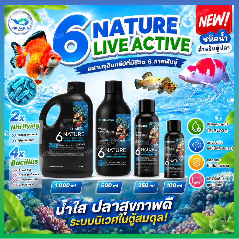 🆕 6NATURE จุลินทรีย์ตู้ปลา Nitrifying + Bacillus รวม 6 สายพันธุ์ น้ำใส ลดกลิ่น ตั้งตู้/บ่อปลา ไม้น้ำ กุ้ง มี 4 ขนาด
