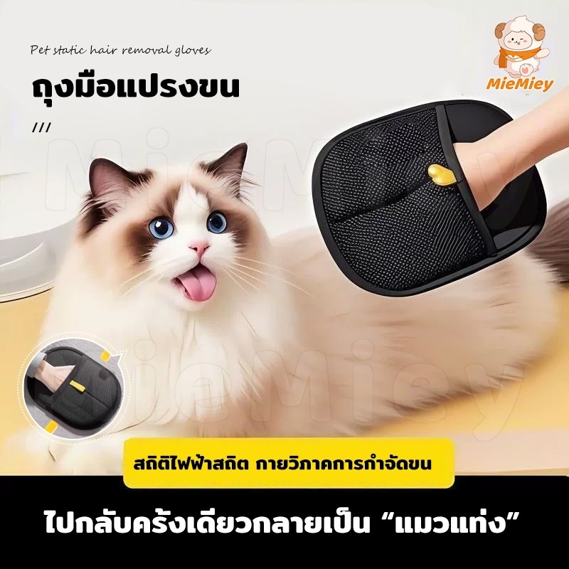 ถุงมือแปรงขนสัตว์เลี้ยง ถุงมือกำจัดขนแมว/สุนัข รูดขนร่วงออกง่าย นวดสบาย ลดขนฟุ้ง