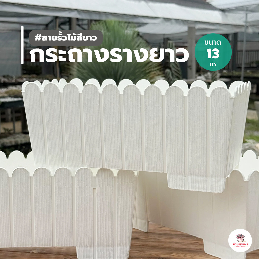 กระถางรางยาว #ลายรั้วไม้สีขาว 13 นิ้ว กระถางพลาสติก แคคตัส กระบองเพชร ไม้อวบน้ำ Cactus&Succulent