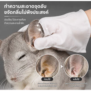 น้ำตาลน้ำผึ้งกระรอกและถุงมืออาบน้ำสัตว์ขนาดเล็ก (8ชิ้น)-ถุงมือเปียกถุงมือทำความสะอาดสัตว์เลี้ยงถุงมือดับกลิ่น