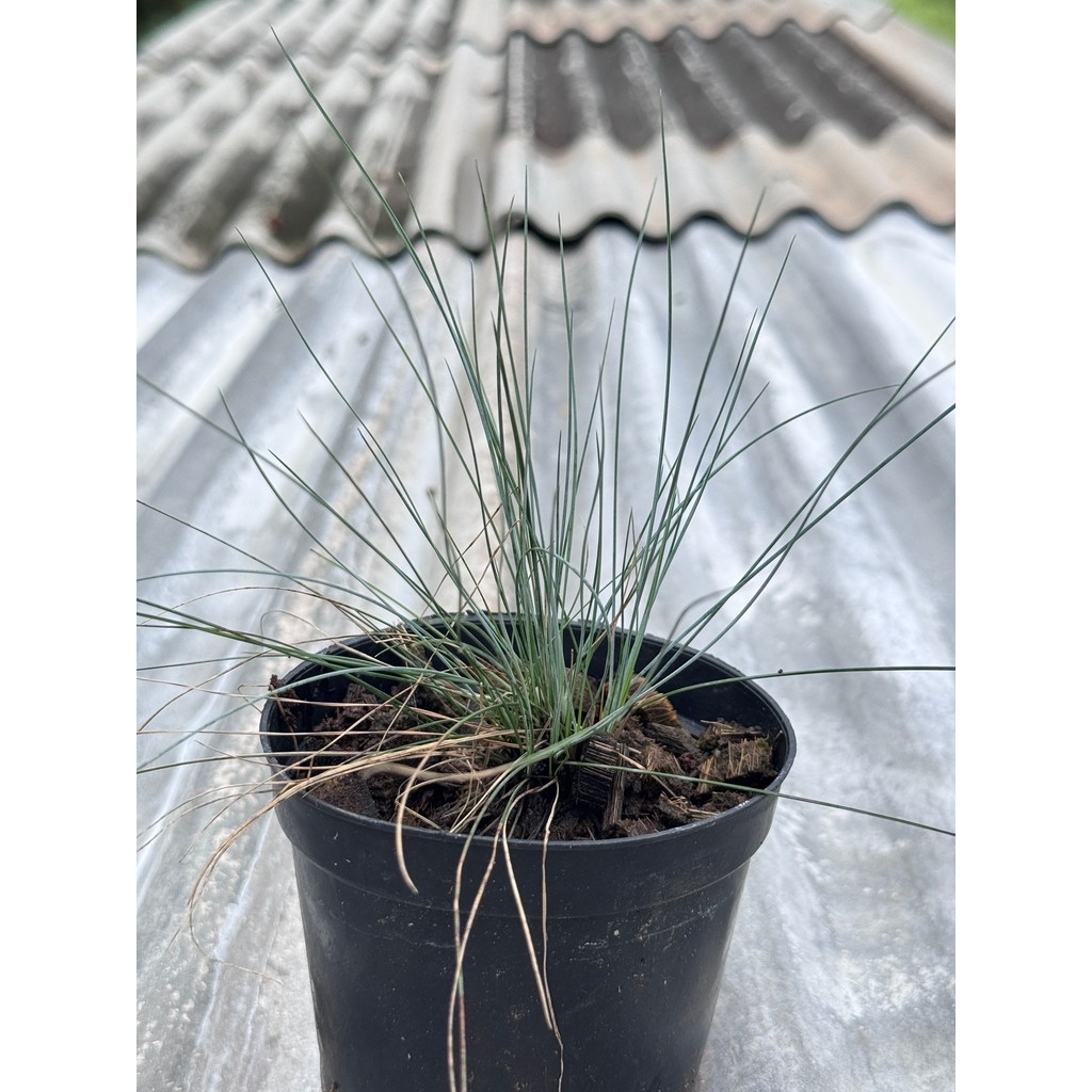 มุมมอง 3