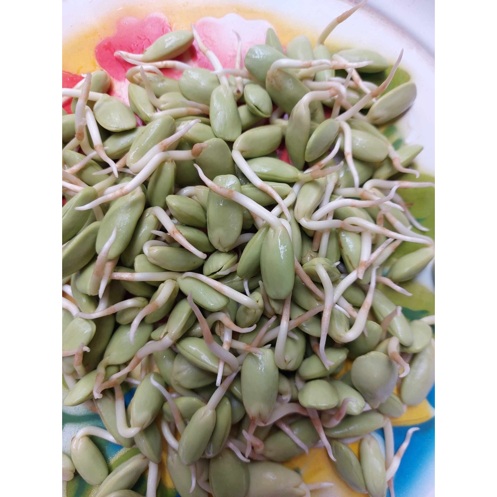 ลูกเหรียงสดๆ ปริมาณ 500 กรัม