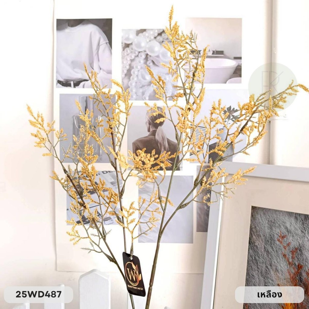 แคสเปียร์ก้านยาว 4 กิ่ง สูง 76 cm. - รูปที่ 7