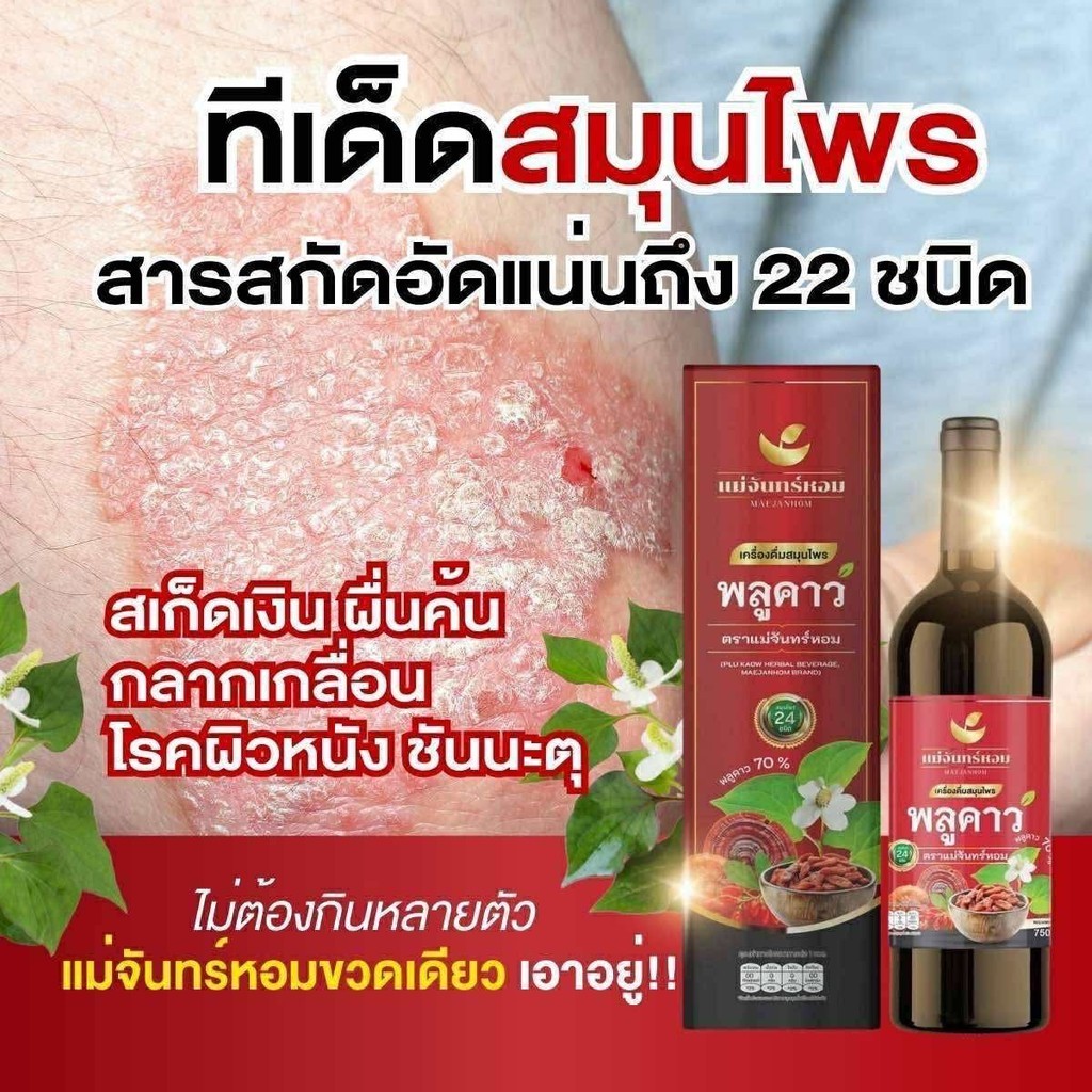 สมุนไพรพลูคาว แม่จันทร์หอม มีสารสกัดพลูคาวสูงถึง 70% และใส่สมุนไพรทั้งหมด 24 ชนิด ช่วยขับของเสีย