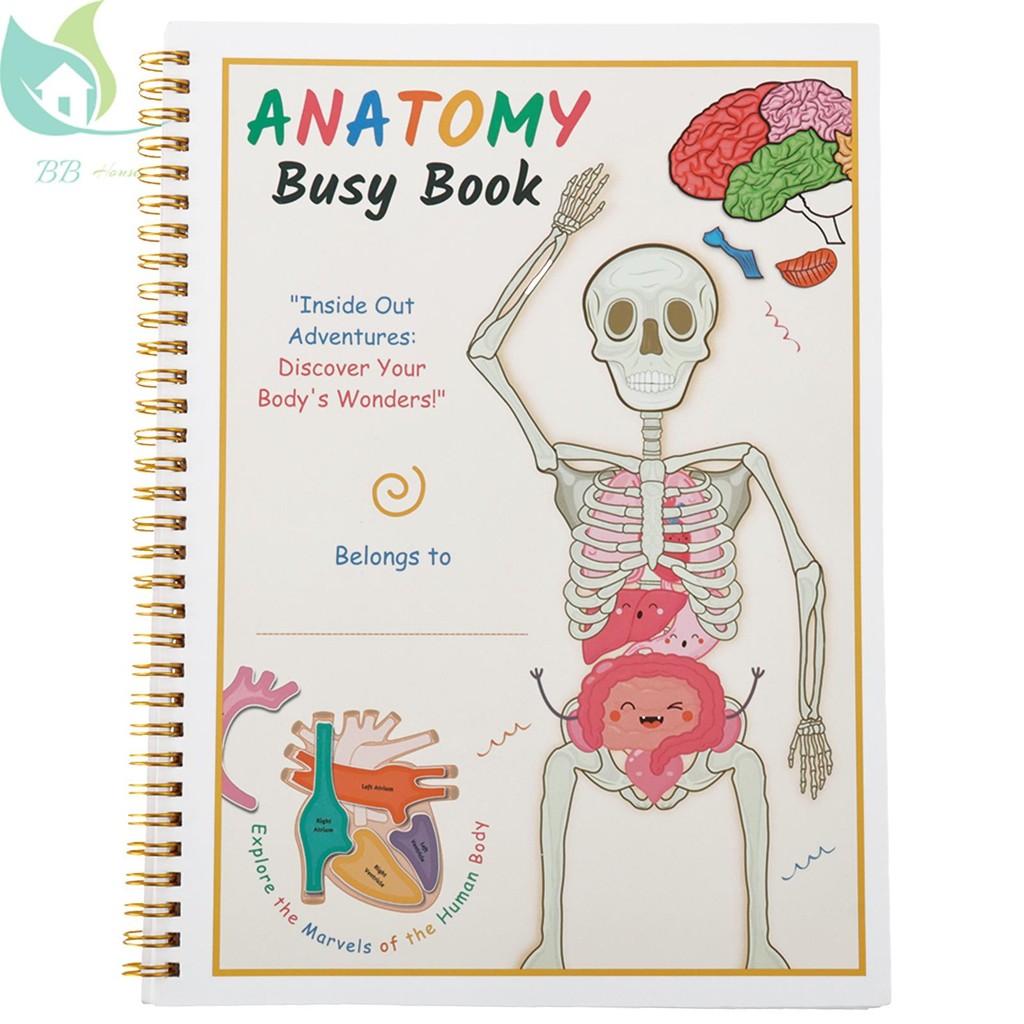 Human Anatomy Quiet Book Human Organ Match Quiet Book ก่อนวัยเรียน Interactive Anatomy Quiet Book สํ
