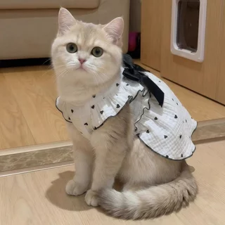 🐱เสื้อแมว ชุดแมวเจ้าหญิง เสื้อหมาเล็ก เดรสสัตว์เลี้ยง ระบายอากาศ นุ่มสบาย ลายหัวใจ โบว์หวาน นุ่มสบาย