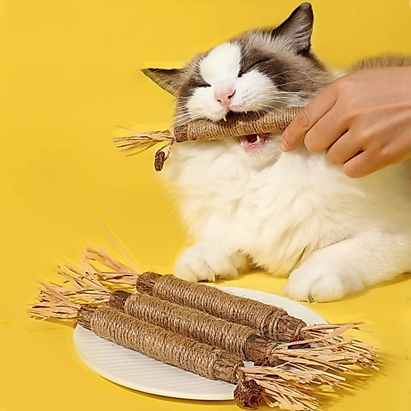 TUBI ของเล่นไม้ สําหรับสัตว์เลี้ยง แมว-Cat Funny Sticks แมวชอบเล่น ราคาต่ำมาก