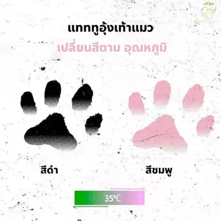 แทททูอุ้งเท้าแมว เปลี่ยนสีตามอุณหภูมิ 35°C 3แบบ ขนาด 8×6 ซม. สนุกไม่ซ้ำใคร ของเล่นน่ารัก tattoosticker