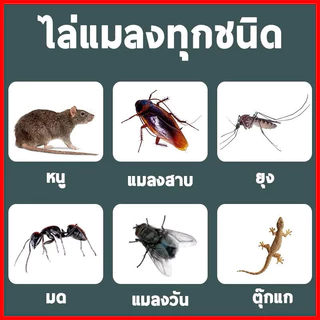 ⚡พร้อมส่งจากไทย⚡ ลูกเหม็นไล่หนู กำจัดหนู 10ชิ้น ยาไล่หนู ไล่หนูได้ผล 100% รวดเร็วและมีประสิทธิภาพ ปลอดภัย