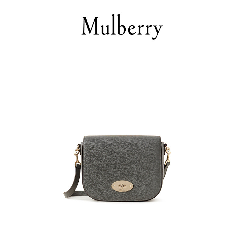 Mulberry/Mulberry AW22 Darley Small Top Flip Preppy Bag