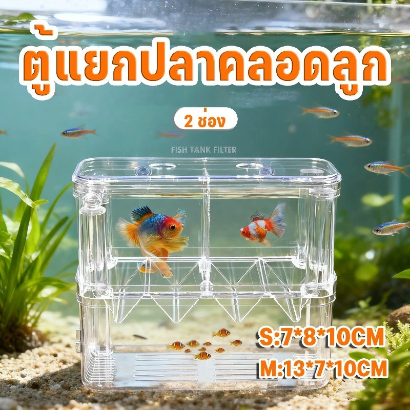 กล่องแยกปลาคลอดลูก 2 ช่อง สีใส S/M