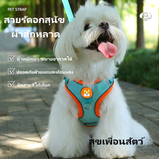 สายจูงสุนัขแบบเสื้อกั๊ก พร้อมสายรัดอก ✨ สะท้อนแสง ป้องกันหลุ…