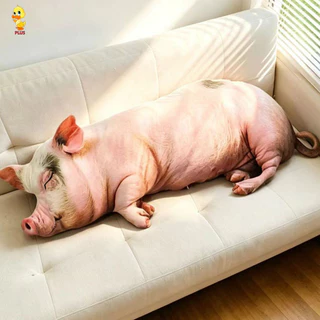 พลัส✨ใหม่ COD✨หมูจําลอง Plushie ของเล่นน่ารัก Piggy Plushie สัตว์นุ่มหมูตุ๊กตาหมอนตุ๊กตาของขวัญสร้างสรรค์สําหรับเพื่อนบ้านโซฟาหมอนเบาะตกแต่ง