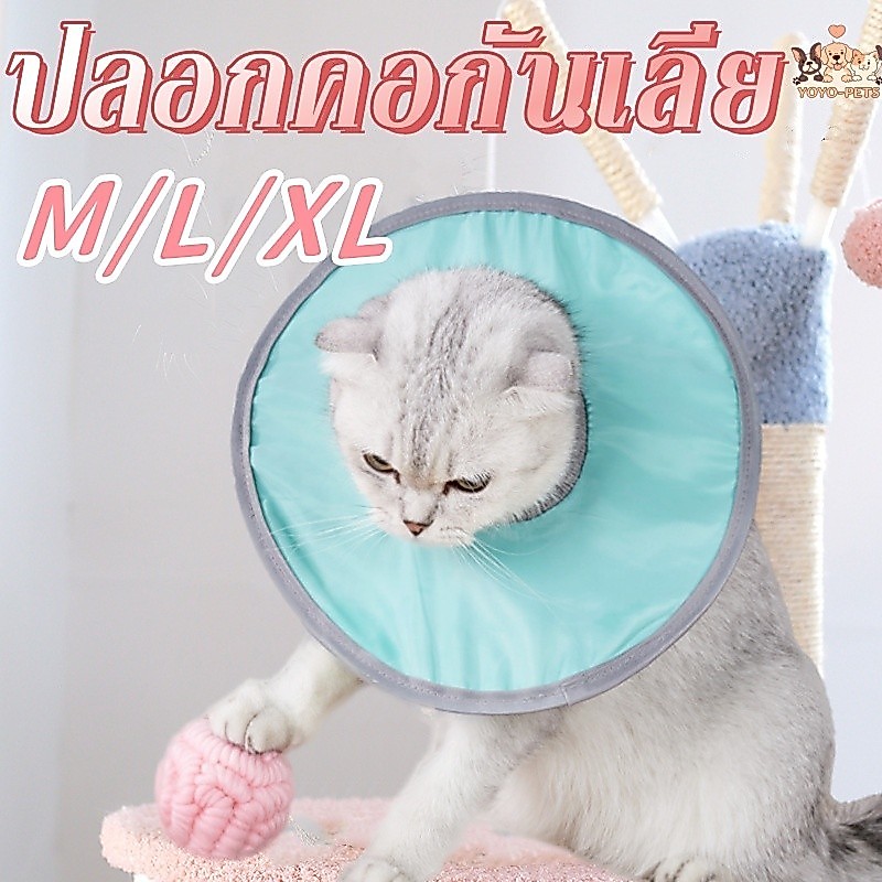 🔥พร้อมส่ง😻ปรับขนาดได้ คอลล่าแมว คอลล่ากันน้ำ คอลล่าเบา ปลอกคอกันเลีย กันเกา ป้องกันการเลียแผล