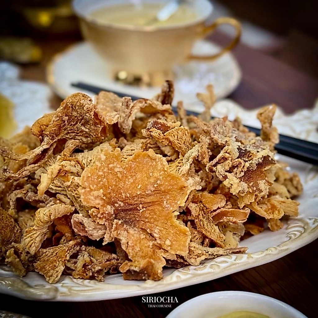 เห็ดนางฟ้าทอดกรอบ อบดอกเกลือ สูตรลับเฉพาะศิริโอชา แถมฟรีน้ำสลัดพริกไทยดำ