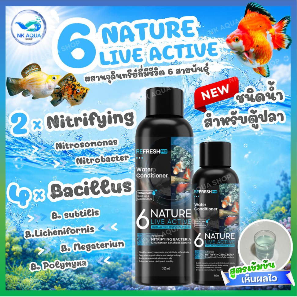 ขายดี 6NATURE จุลินทรีย์ตู้ปลา Nitrifying + Bacillus รวม 6 สายพันธุ์ น้ำใส ลดกลิ่น ตั้งตู้/บ่อปลา ไม้น้ำ กุ้ง