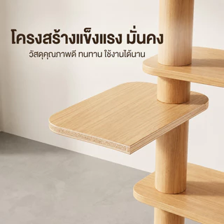DogLemi】คอนโดแมว สูง185ซม. Cat Condo บ้านแมวไม้พรีเมียม เสาลับเล็บแมว หลุมนอนอะคริลิค 4 จุด คอนโดสัตว์เลี้ยง แมวตัวใหญ่ใ