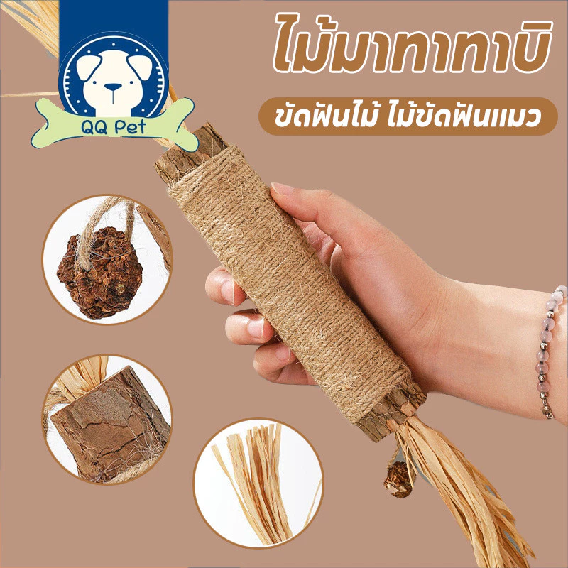 พร้อมส่ง(38cm) อันใหญ่มาก ไม้มาทาทาบิ ขัดฟันไม้ ไม้ขัดฟันแมว ของเล่นแมว ลดคราบหินปูน ก้านมาทาทาบิ ไม้แปรงฟันแมว