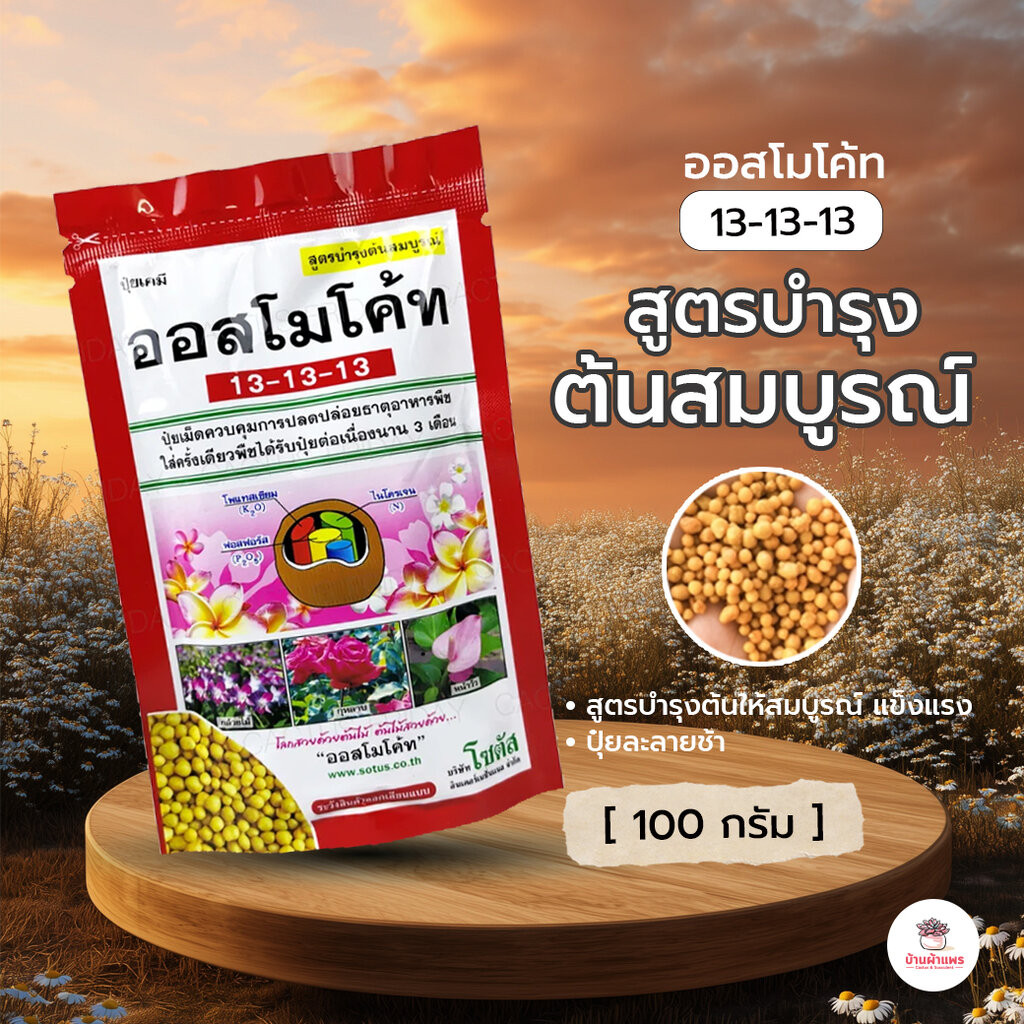 [ 100 กรัม ] ออสโมโค้ทสูตรเสมอ 13 -13-13 แบบซอง บำรุงต้น ไม้อวบน้ำ กุหลาบหิน cactus&succulent