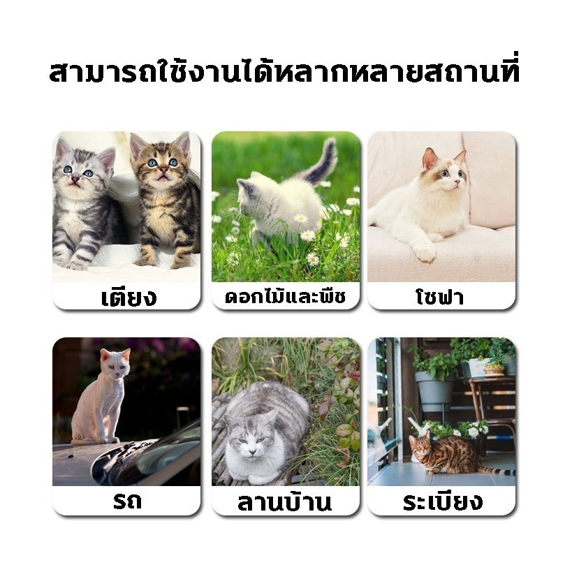 ราคาต่ำจำกัดเวลา🚫🐱🐶ไม่อนุญาตให้แมวผ่าน กลิ่นไล่แมว ก้อนไล่แมว 5อัน/กล่อง กลิ่นที่ทั้งแมวและสุนัขเกลียด - รูปที่ 5