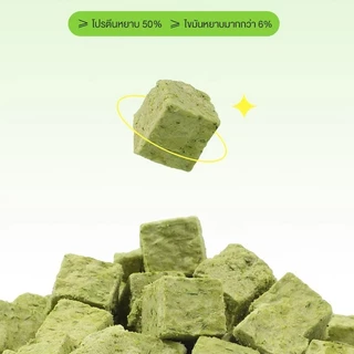😺หญ้าแมวฟรีซดราย 100g ช่วยขับก้อนขน บำรุงระบบย่อย อาหารเสริมแมวธรรมชาติ