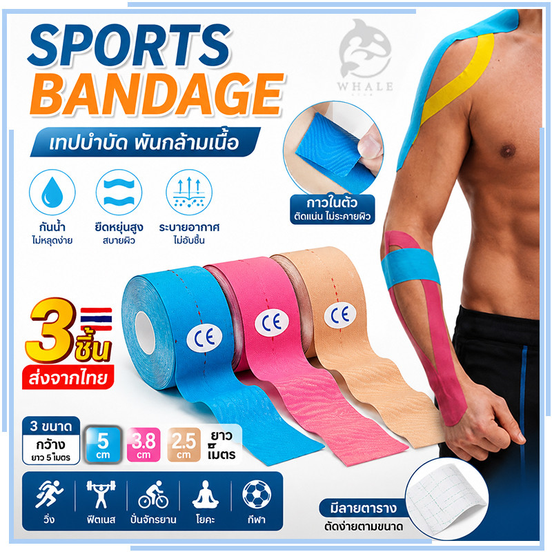 【3 ชิ้น】ส่งจากไทย Sports Bandage เทปบำบัด  พันกล้ามเนื้อ  5cm/3.8cm/2.5cm ยาว 5 เมตร คิเนสิโอ มีกาวในตัว
