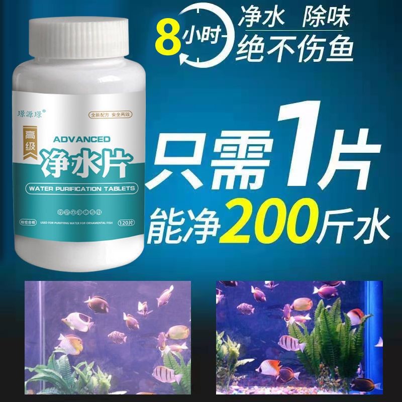 Spot Nitrify Person Fish Tank Lazy Person Fish Tank Lazy Person xueshen3. บ้านใหม่ของสัตว์เลี้ยงตัวน