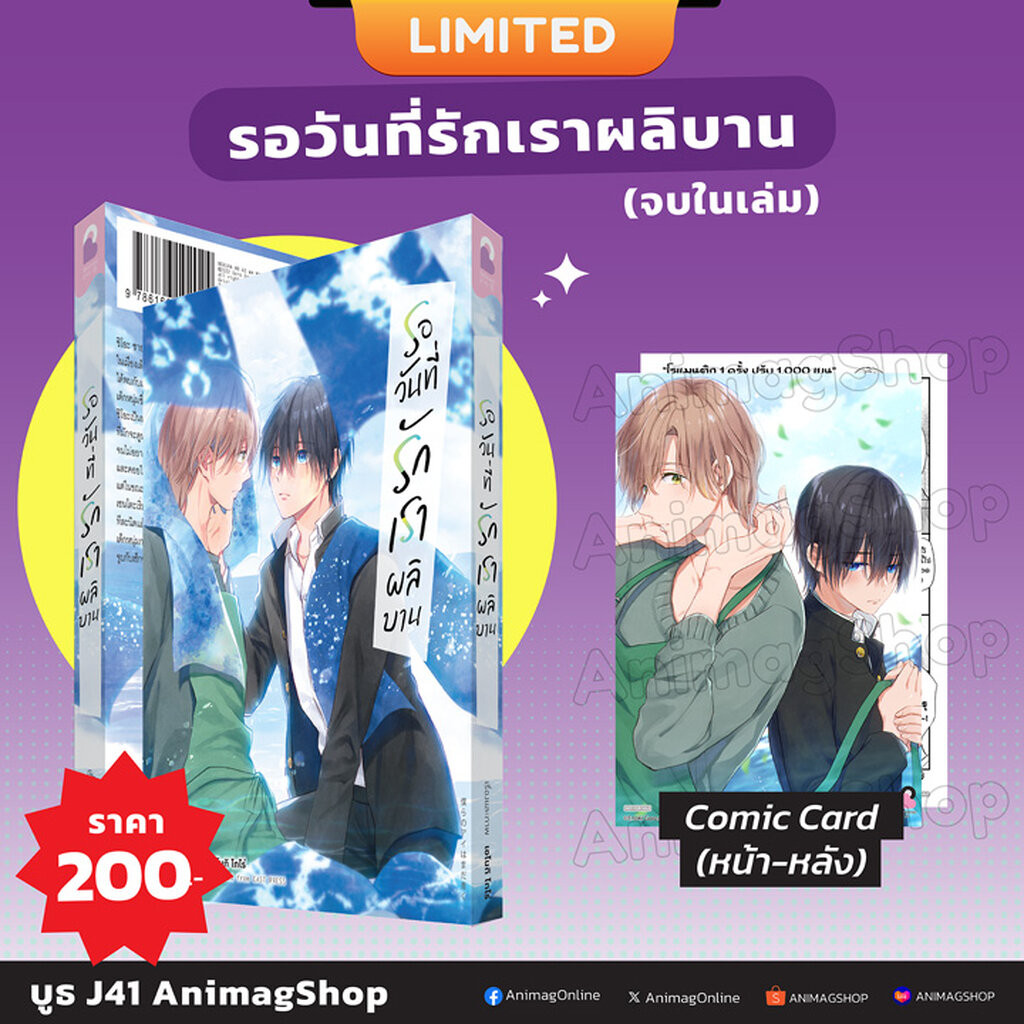 Animag รอวันที่รักเราผลิบาน COMIC (เล่มเดียวจบ) Limited Edition