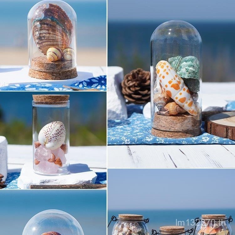 ตัวอย่าง Snail Drift ขวด Ocean ปลาดาว Creative Wishing ขวดเครื่องประดับ Cork Snail Shell RLO9