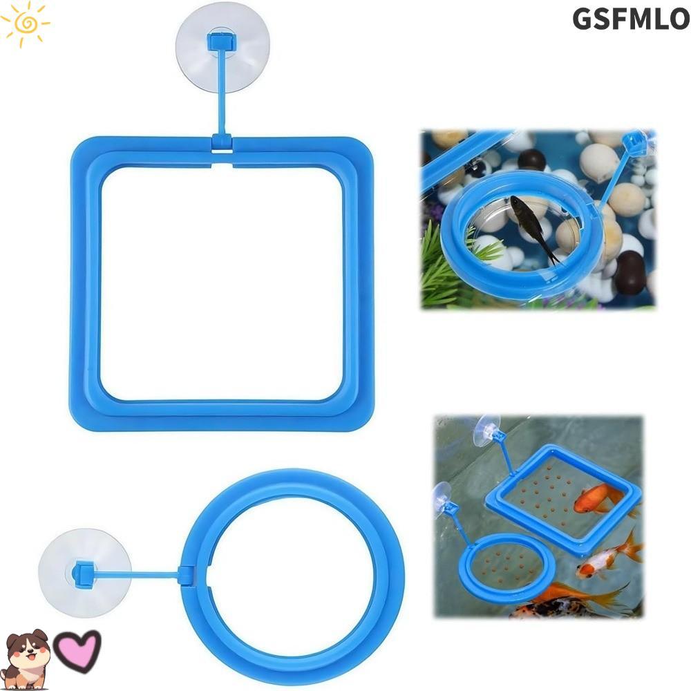 Gsfmloเครื่องป้อนอาหารตู้ปลา,ถาดลอย ทนทานพิพิธภัณฑ์สัตว์น้ําปลาป้อนแหวน,วงกลม/สแควร์ถ้วยดูดแหวนป้อนปลาถังปลาขนาดเล็ก