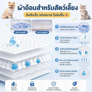 พร้อมส่ง✅🐱ผ้าอ้อมสัตว์เลี้ยง ผ้าอนามัยสุนัข หมาตัวผู้/หมาตัวเมีย ผ้าอ้อมน้องหมา ผ้าอ้อมแมว 12pcs