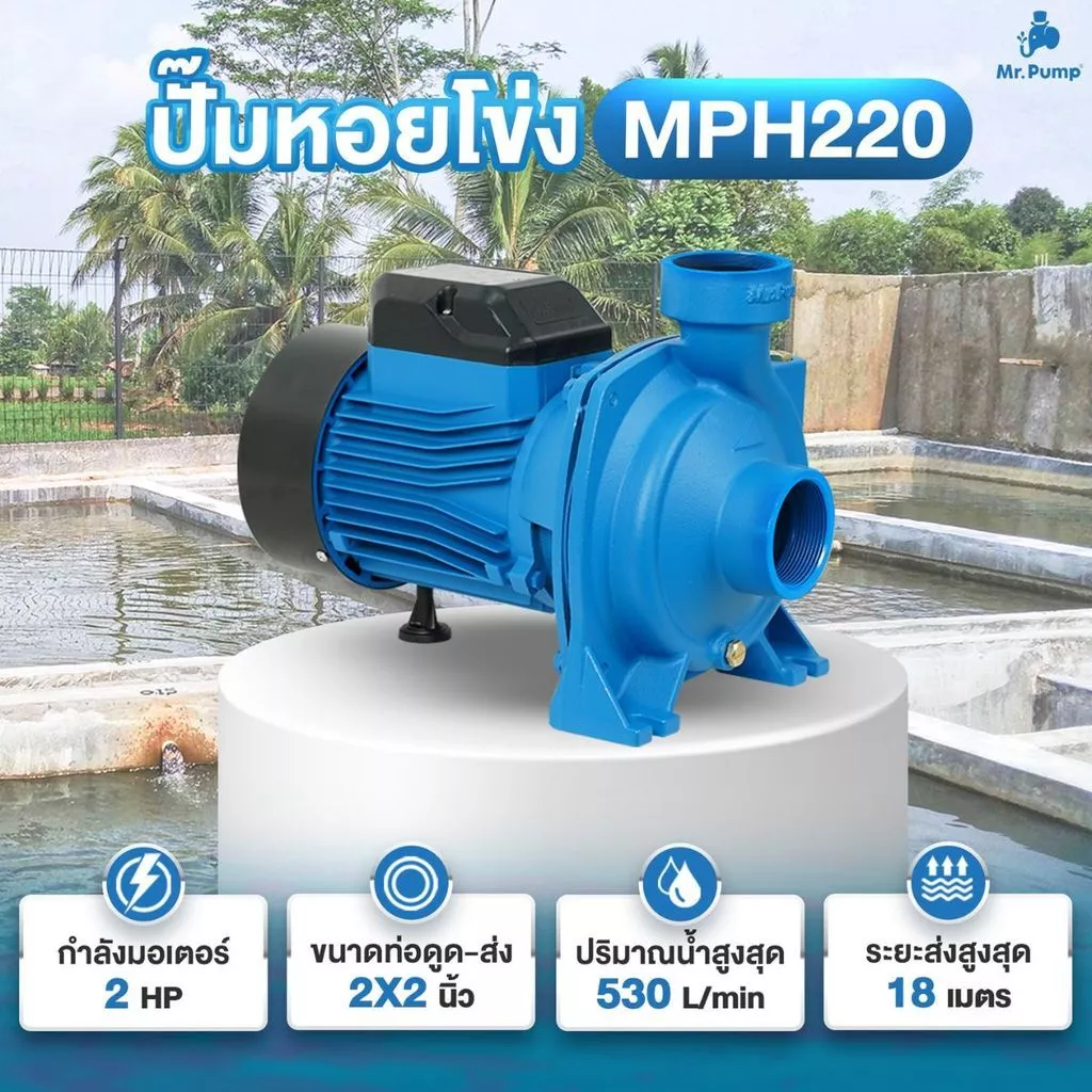 MR.PUMP ปั๊มหอยโข่ง รุ่น MM-WP-MPH220 2 แรงม้า ท่อ 2 นิ้ว thumbnail 3