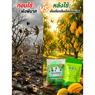 🌿ลดราคาพิเศษ🔥【10 กิโลเมตรไม่มี!】ยากันลิง/ยาไล่ลิง/เม็ดกันลิง 🐒 ใช้ในสวนผลไม้ ไร่ บ้าน ป้องกันกัดกินพืชผล ประสิทธิภาพสูง แบบเม็ดปลอดภัย ธรรมชาติ ใช้ได้นาน monkey repellent