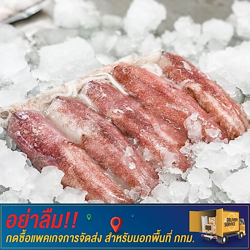 หมึกกล้วย การันตีความสด💯 แพ็คละ 1 กิโลกรัม อาหารทะเลสด ส่งตรงถึงบ้าน
