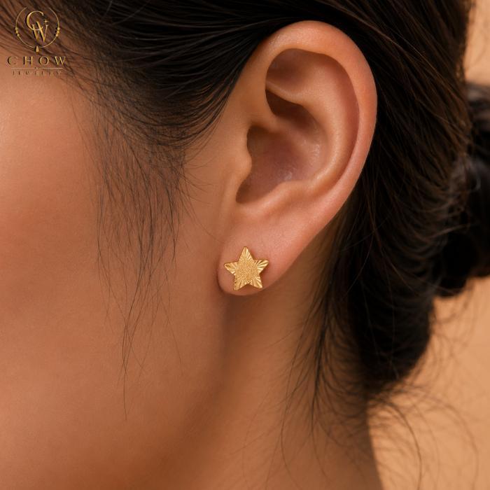 ต่างหูทองหุ้ม ดาวเหนือ North Star - Women Earring SET6