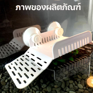 COD ระเบียงของเต่า อาบแดด ทำให้เต่ามีสุขภาพดีขึ้น มีช่องป้อนอาหาร ทำให้เต่าผ่อนคลาย แสงแดด