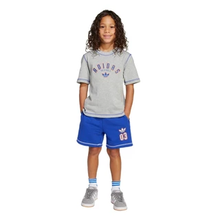 adidas ไลฟ์สไตล์ ชุดเสื้อยืดและกางเกงขาสั้นสำหรับเด็ก เด็ก สีเทา JX5258