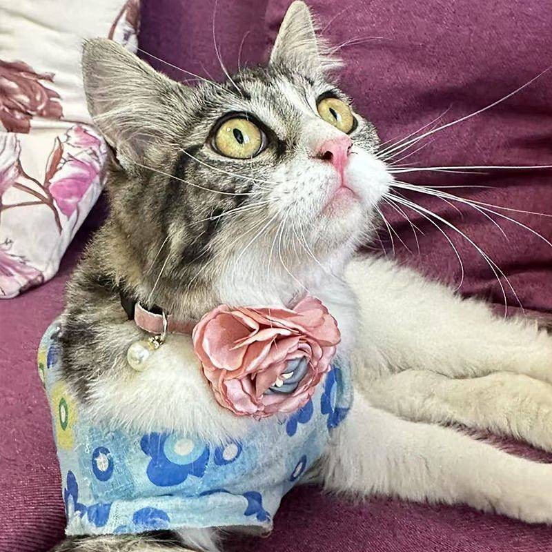 New Cat Collar Cute Princess Style Flower Collar Adjustable for Small Dogs Photo Decoration tq1Y