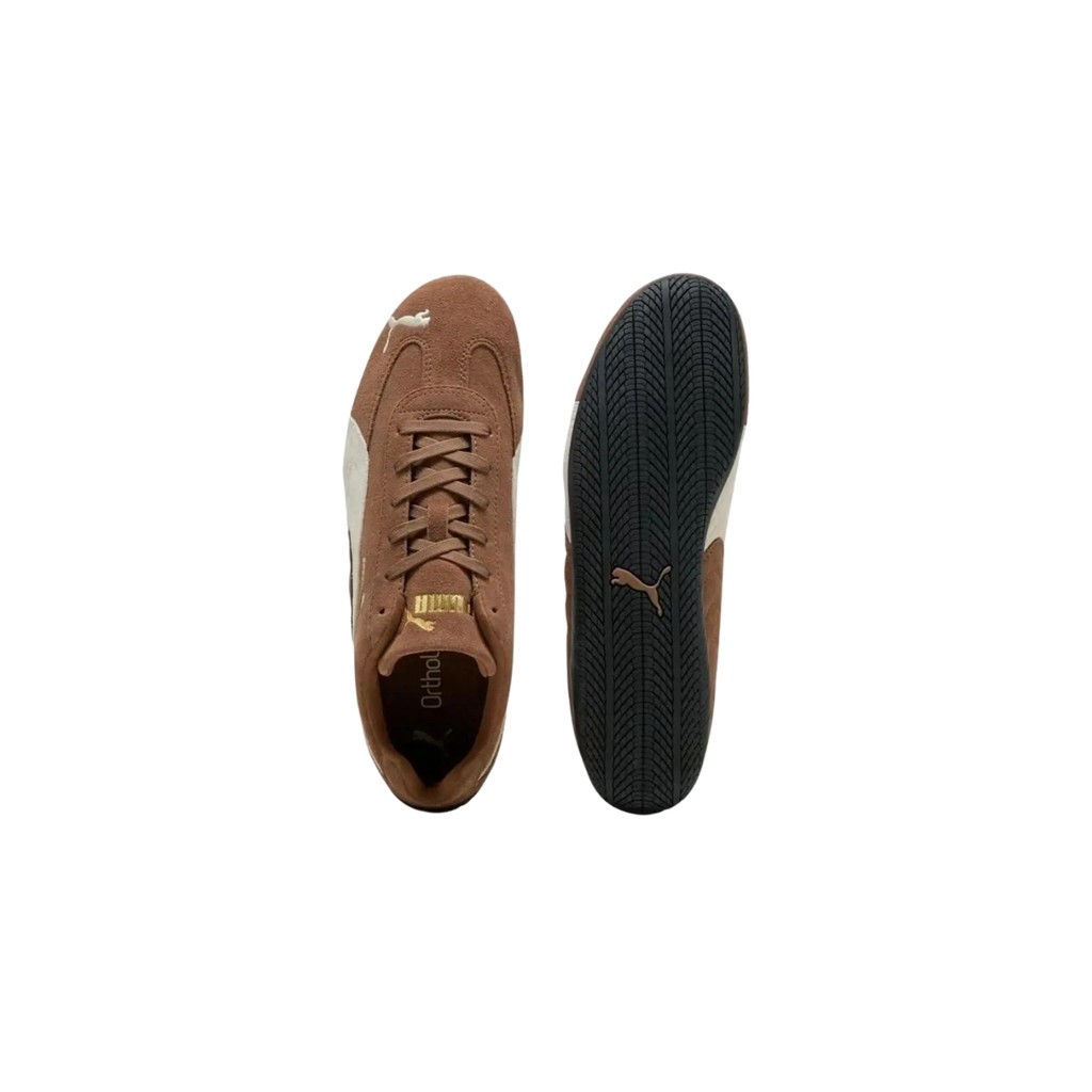 รูปภาพ 5