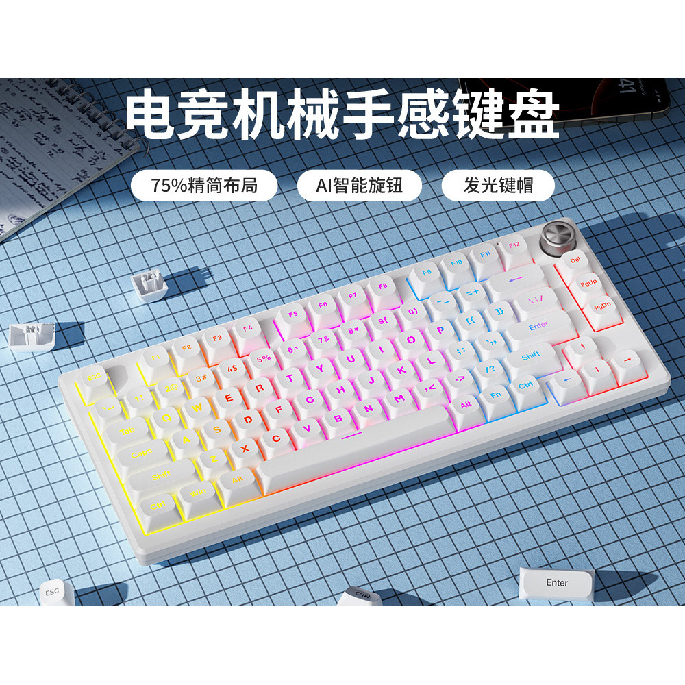 IP75 Luminous Mechanical Feel Keyboard คอมพิวเตอร์สําหรับเล่นเกมคีย์บอร์ดเงียบแบบมีสายมูลค่าสูง