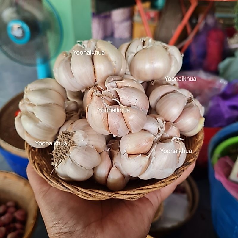 กระเทียมจีน แต่งเปลือก 1 กิโลกรัม / garlic 1 kg/ 大蒜 1公斤
