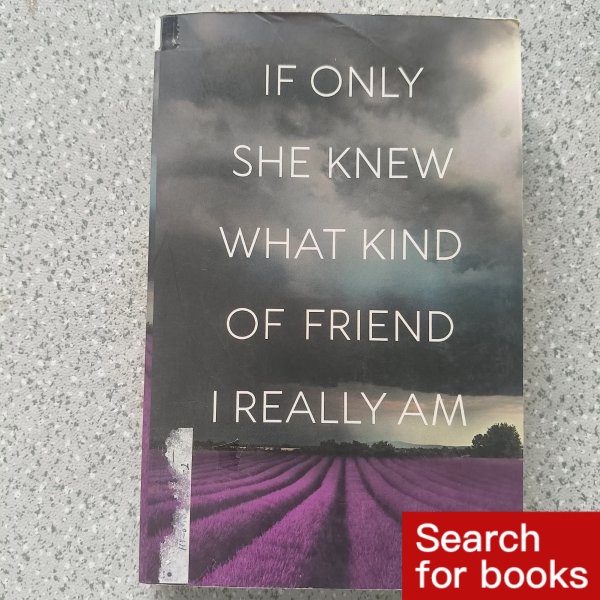 หนังสือภาษาอังกฤษ If Only She Knew What Kind of Friend I Really Am มือสอง